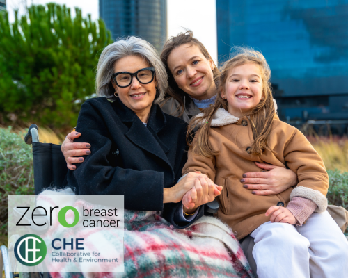 Older woman in a wheelchair, younger woman, and girl